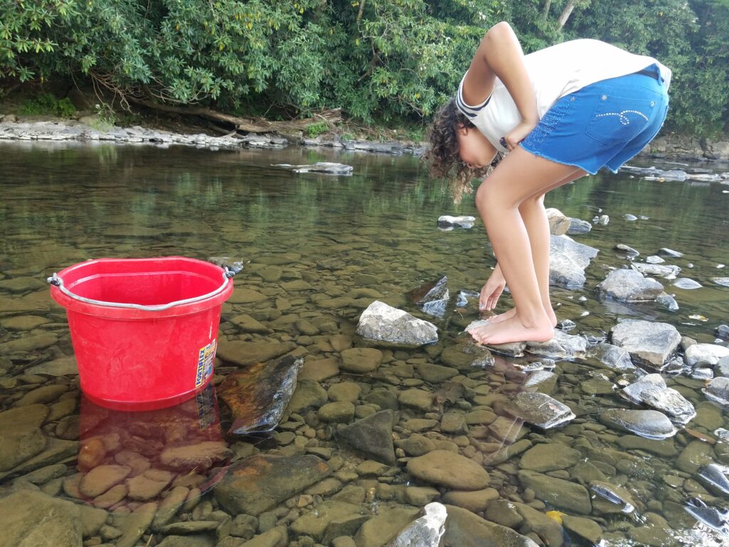 girl in a stream catching crawfish