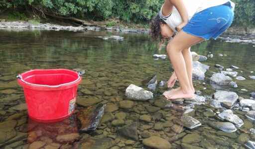 girl in a stream catching crawfish