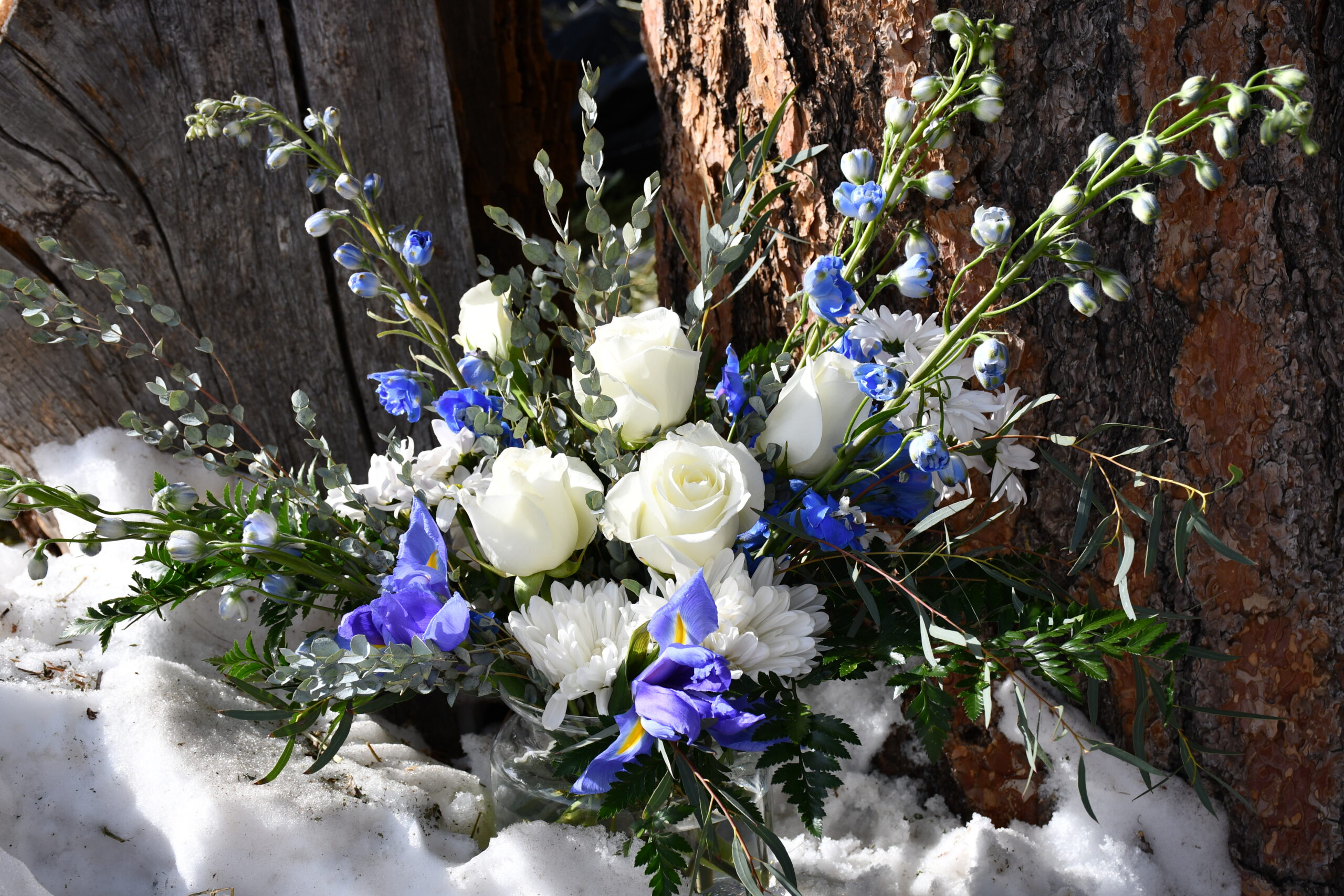 Formal blue and white flower arrangement in the snow next to a tree